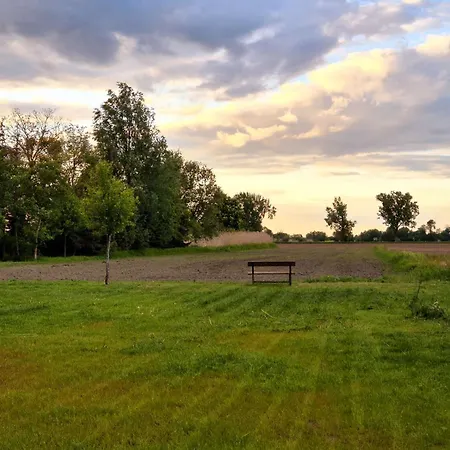 Holiday home Oderbruch26 Mit Sauna-option Letschin