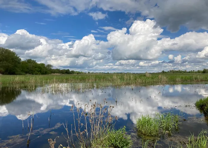 Oderbruch26 Mit Sauna-option